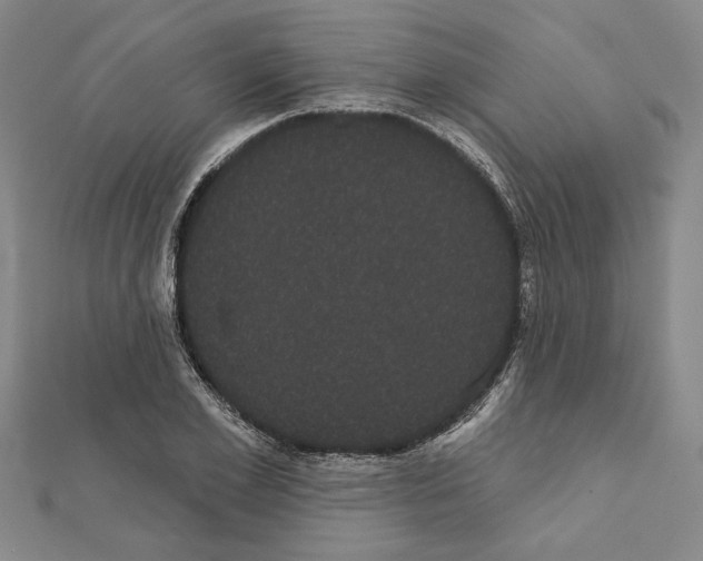 X0000111460981200908241316