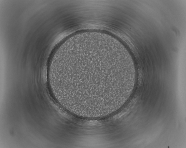 X0000111460982200908241316