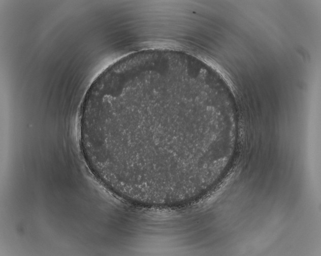 X0000111460983200908241316