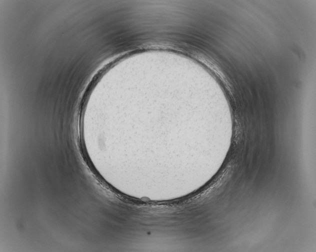 X0000111460984200908241316