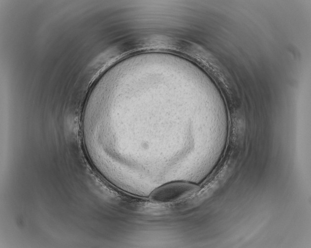 X0000111460985200908241316