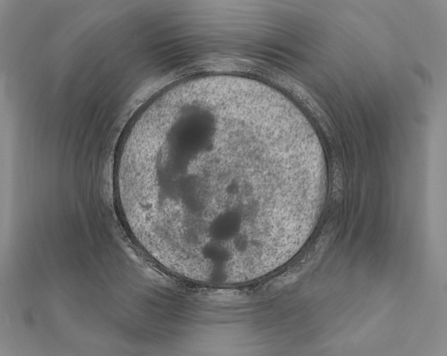 X0000111460986200908241316