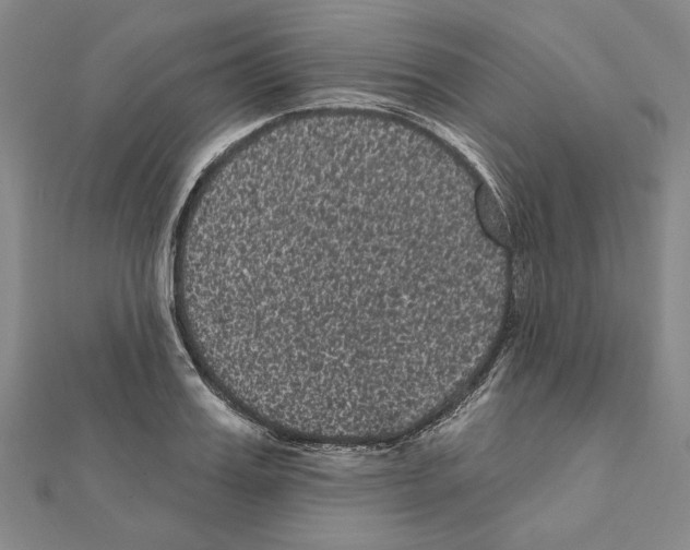 X0000111460987200908241316