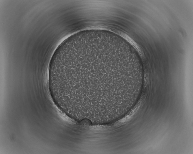 X0000111460988200908241316