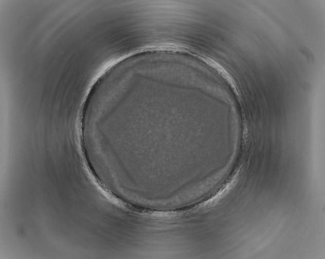 X0000111460989200908241316