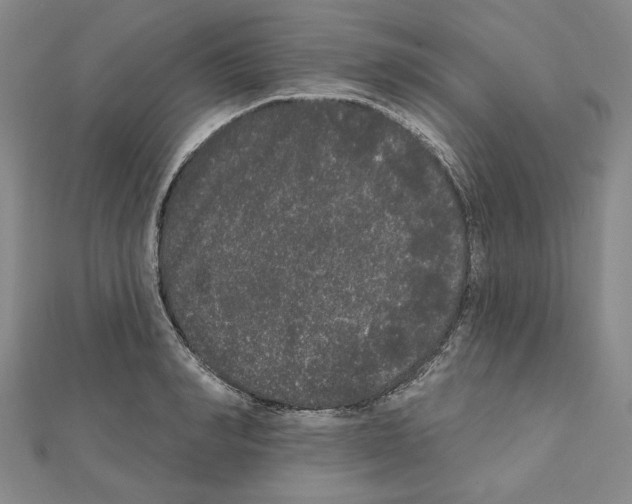 X0000111460990200908241316