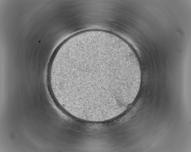 X0000111460991200908241316