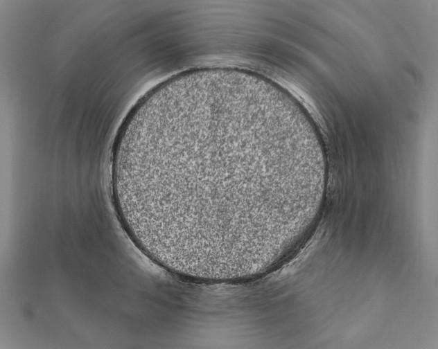 X0000111460992200908241316
