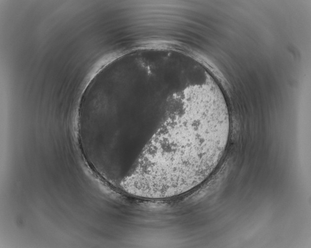 X0000111460994200908241316