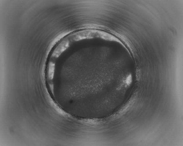 X0000111460995200908241315