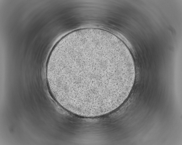 X0000111460996200908241315