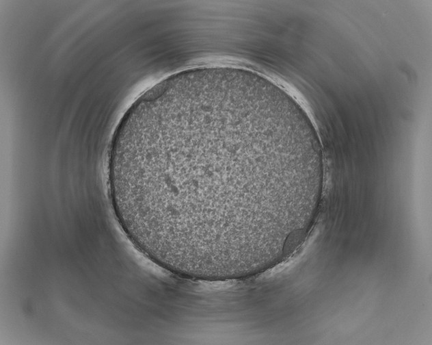 X0000111460997200908241315