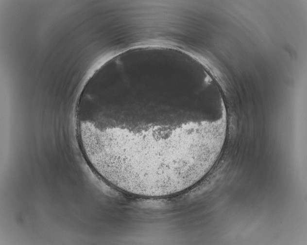 X0000111460998200908241315