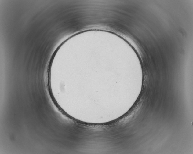 X0000111460999200908241315