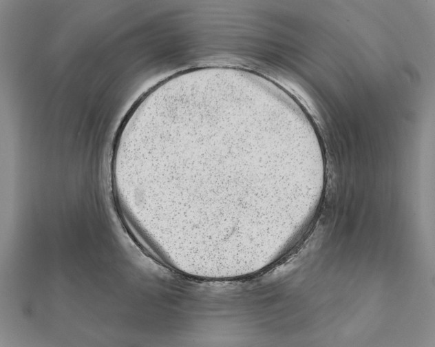 X0000111461000200908241315