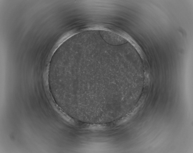 X0000111461002200908241315