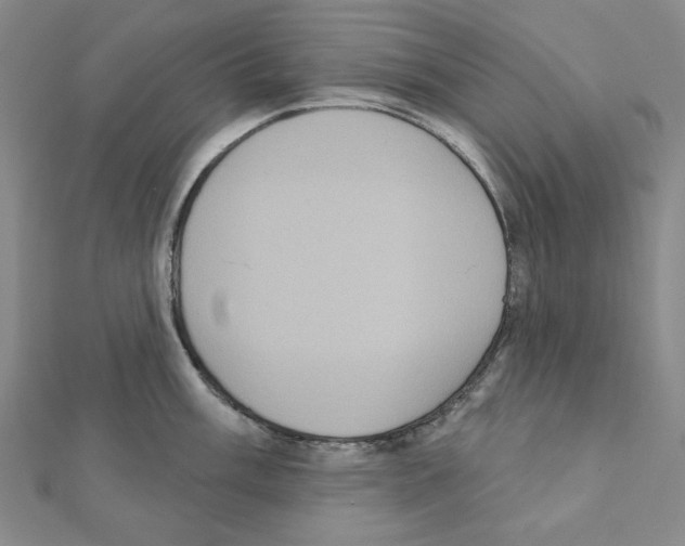 X0000111461003200908241315
