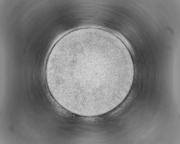 X0000111461004200908241315