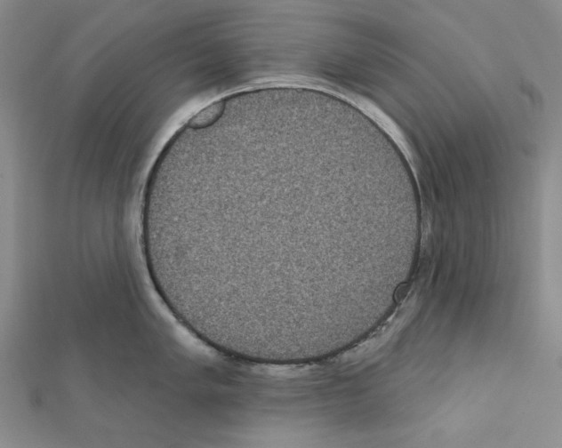 X0000111461005200908241315