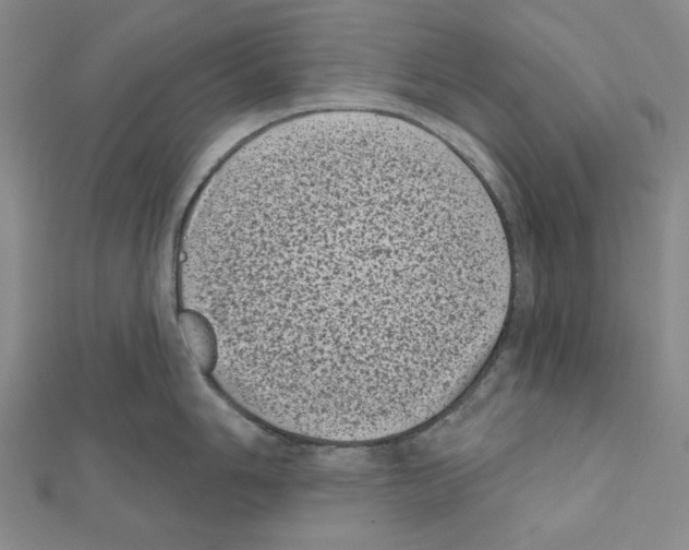 X0000111461006200908241315