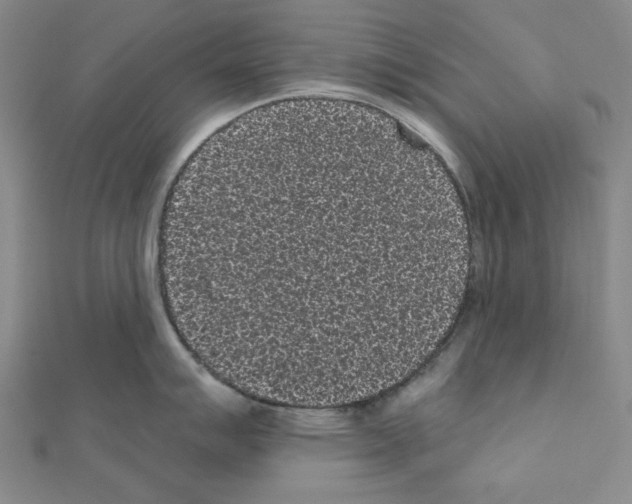 X0000111461007200908241315