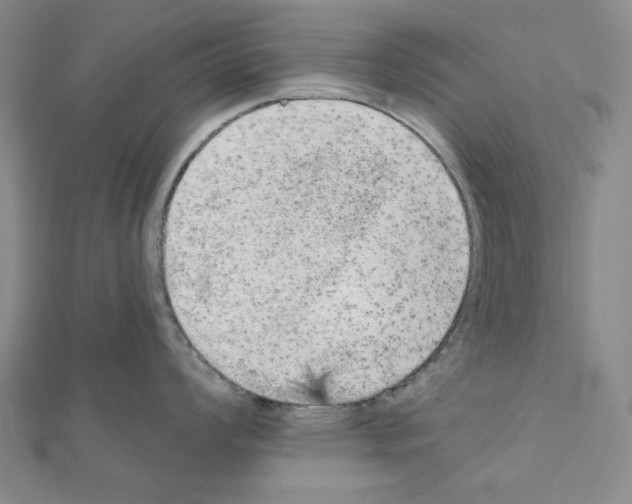 X0000111461008200908241315