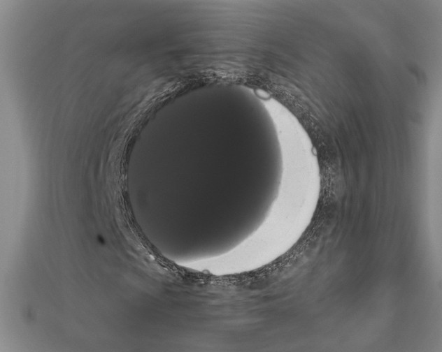 X0000111461009200908241315