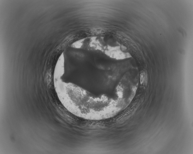 X0000111461011200908241315