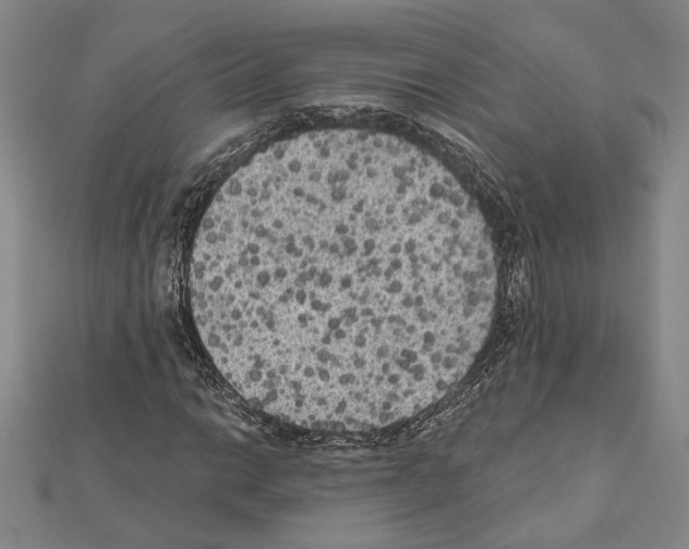 X0000111461014200908241315