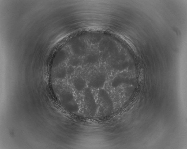 X0000111461015200908241315
