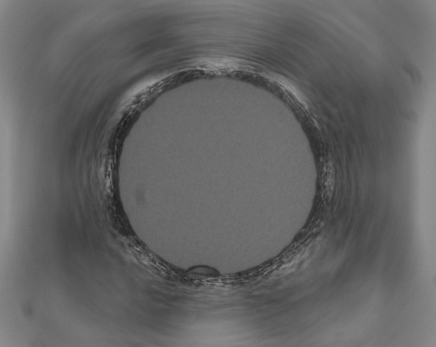 X0000111461016200908241315