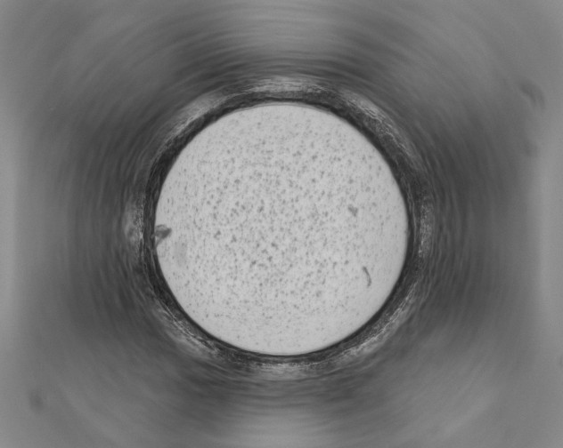 X0000111461017200908241315
