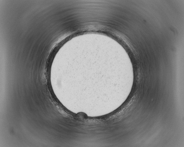 X0000111461018200908241315