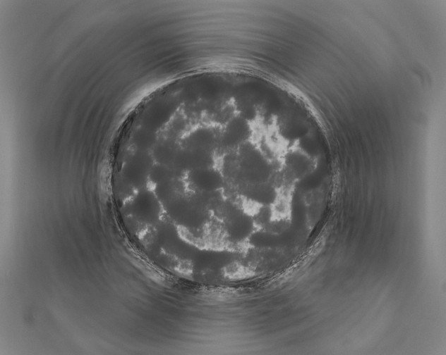 X0000111461019200908241315