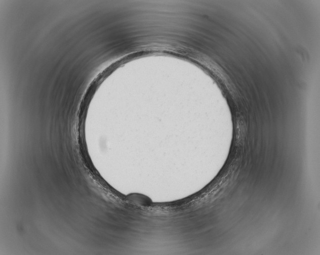 X0000111461020200908241315