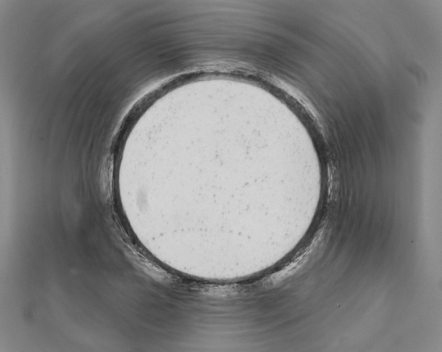 X0000111461021200908241315