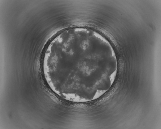 X0000111461023200908241315