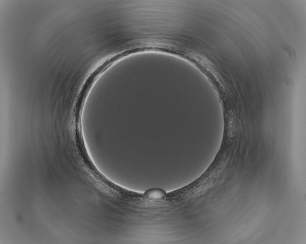 X0000111461024200908241315