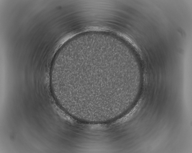 X0000111461025200908241315