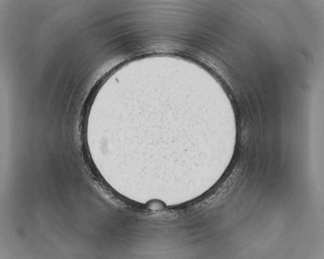 X0000111461026200908241315