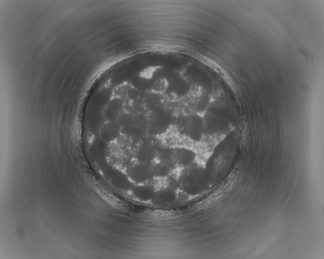 X0000111461027200908241315