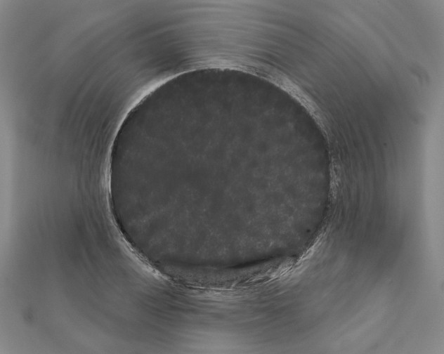 X0000111461028200908241315