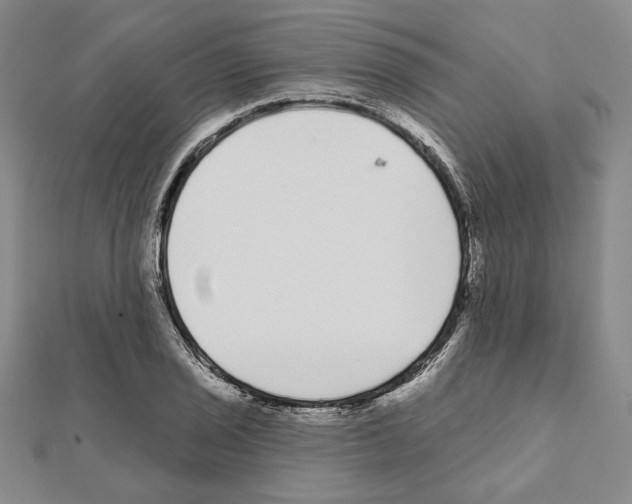 X0000111461029200908241315