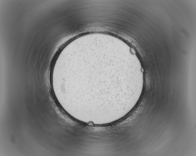 X0000111461030200908241315