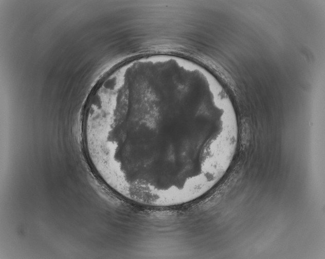 X0000111461031200908241315