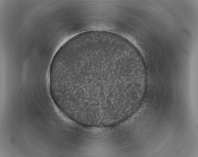 X0000111461032200908241315