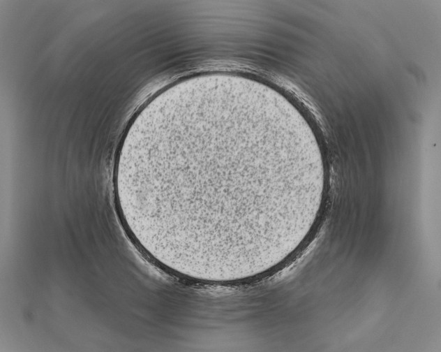 X0000111461033200908241315