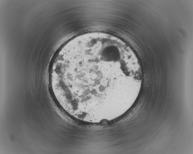 X0000111461034200908241315