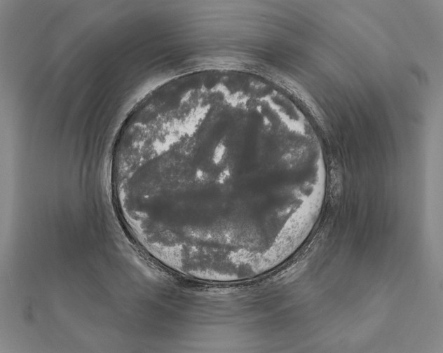 X0000111461035200908241315