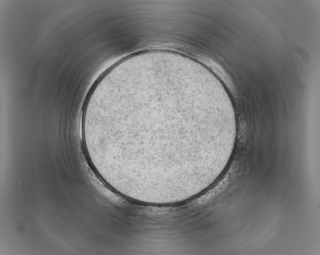X0000111461036200908241315